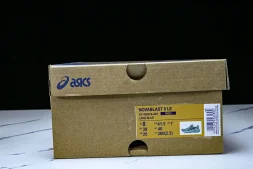 Asics Novablast 5 1011B974-401